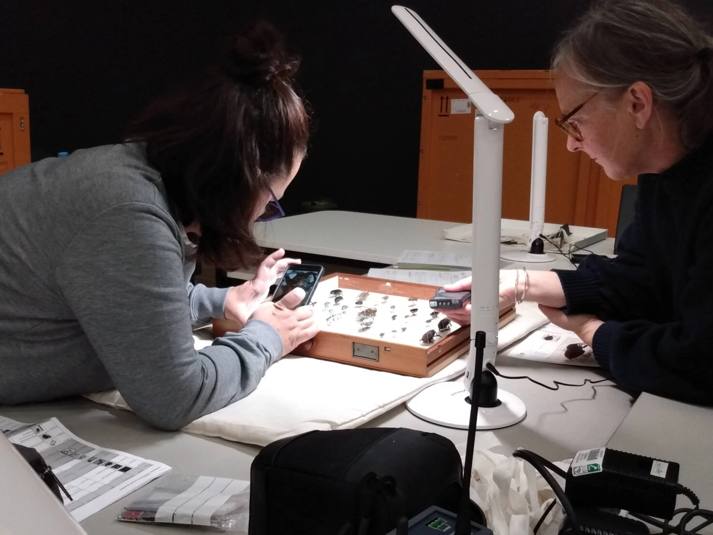 Collaborative assessment of cultural collection objects under conservation lighting