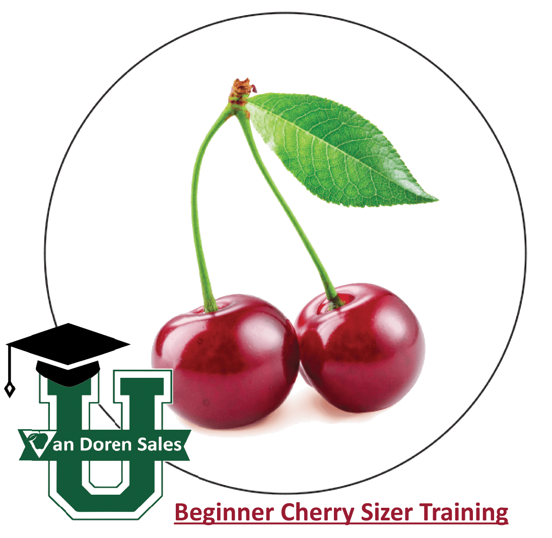 Sizer Training: Cherry Beginner
