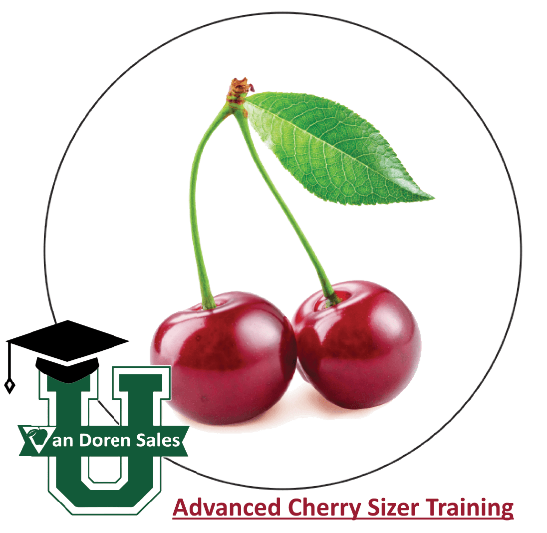 Sizer Training: Advanced Cherry