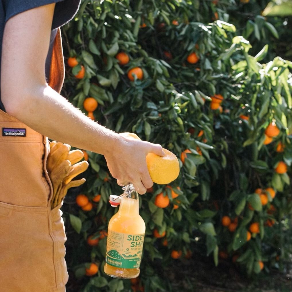 Our Yuzu Vinegar is back in stock and ready to share! Here&rsquo;s to the greatest gem of the winter citrus season 🍋🌳👏

Our best-selling yuzu flavor tastes like wintertime sunshine and celebrates the coveted, cold-weather citrus grown by Marguerit