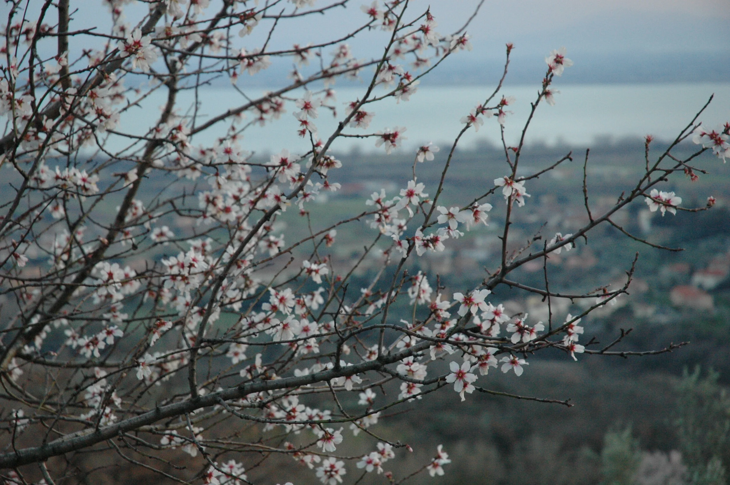 DSC_0358.JPG