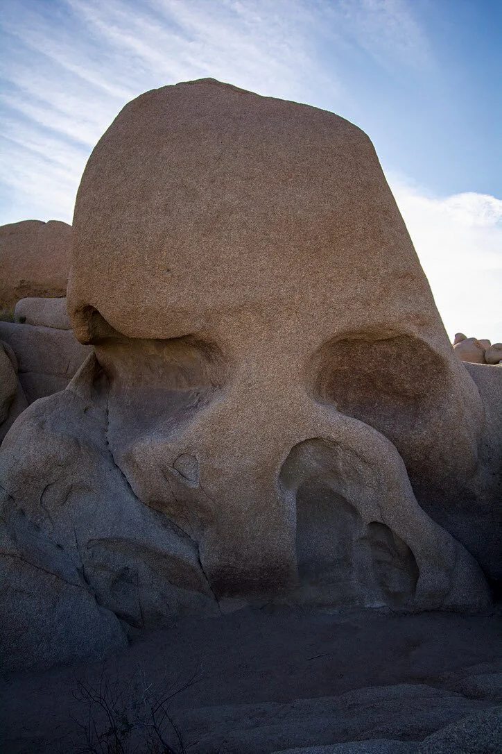 joshua tree skull.jpg