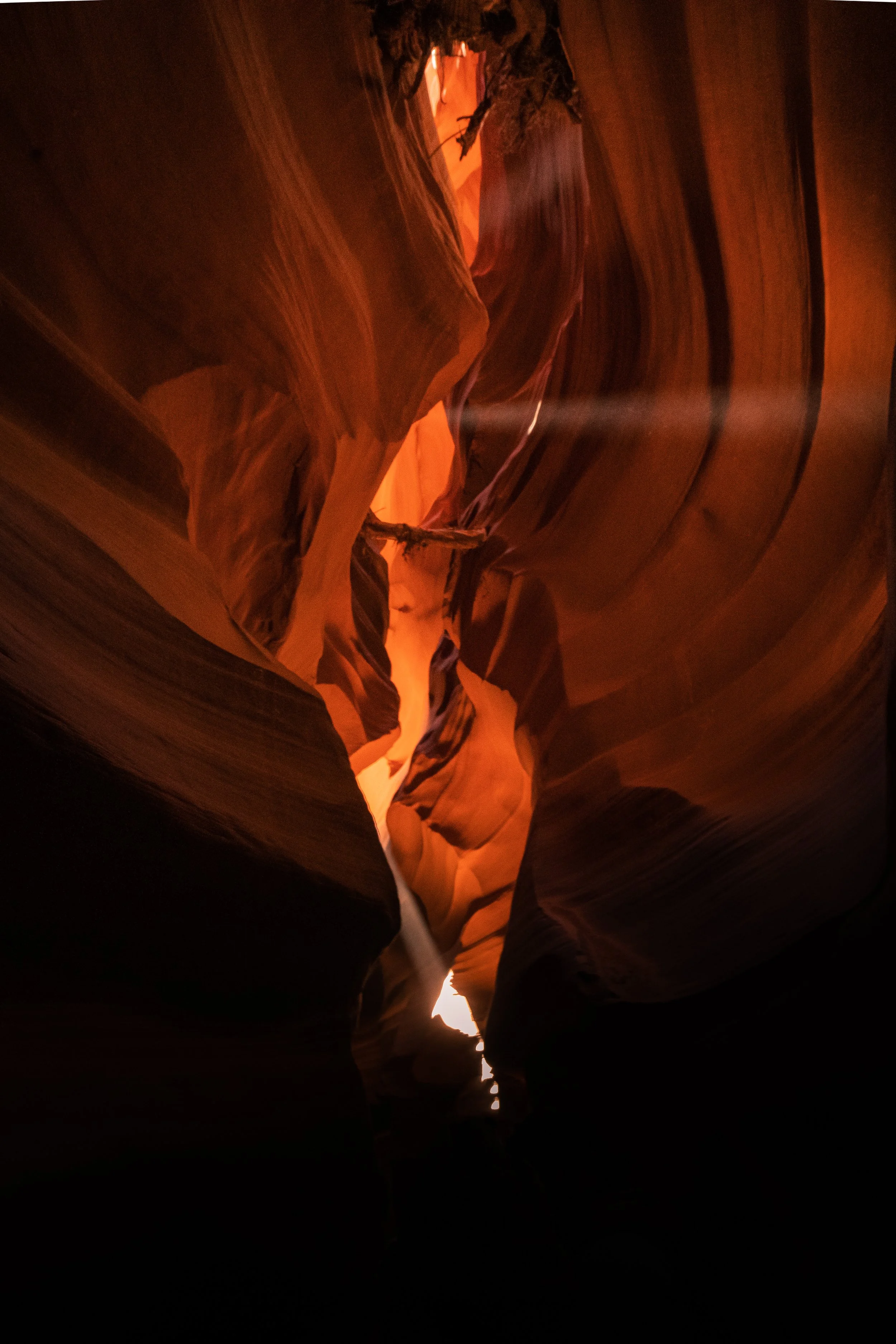 Antelope 9.jpg