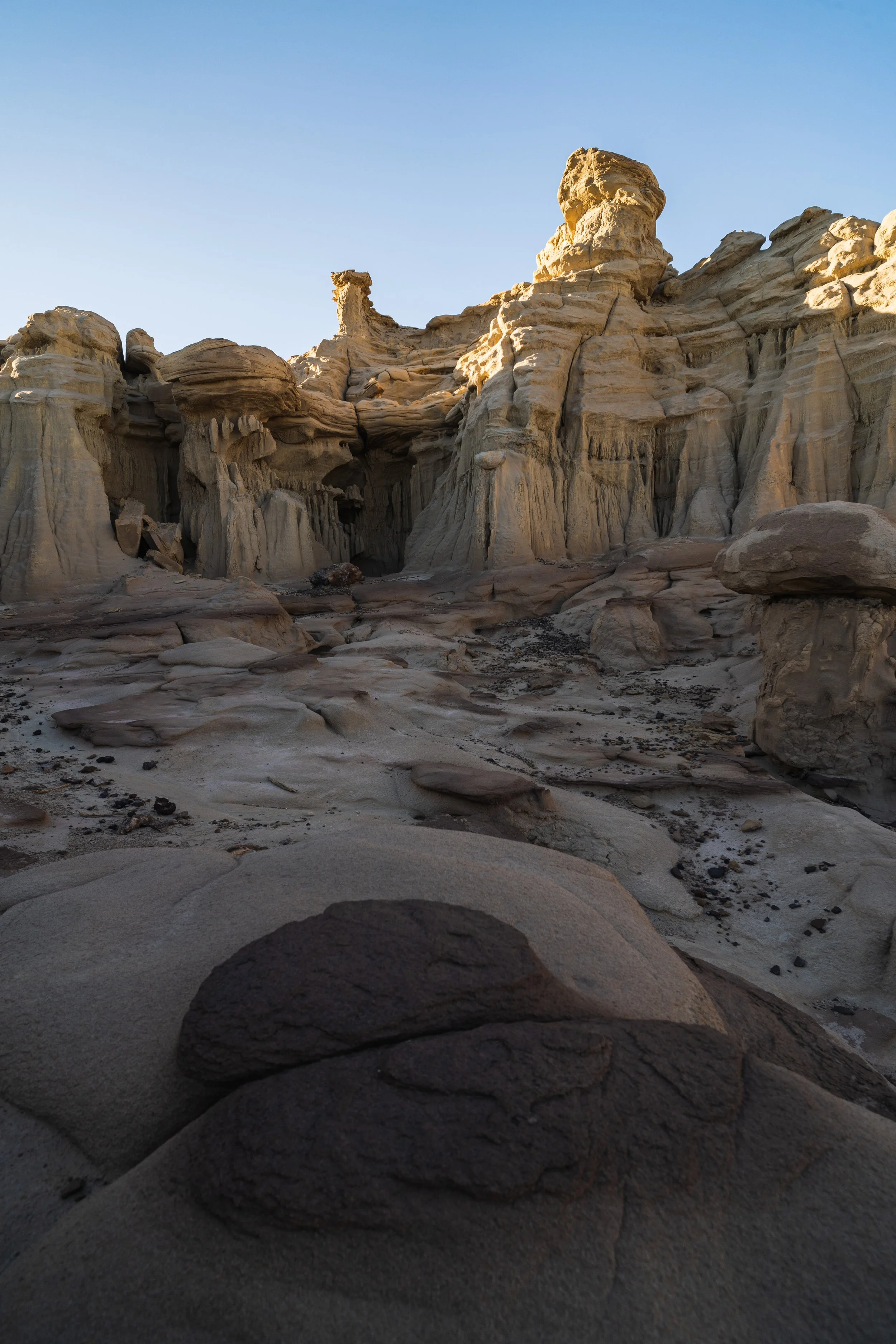 Alien Throne-2.jpg