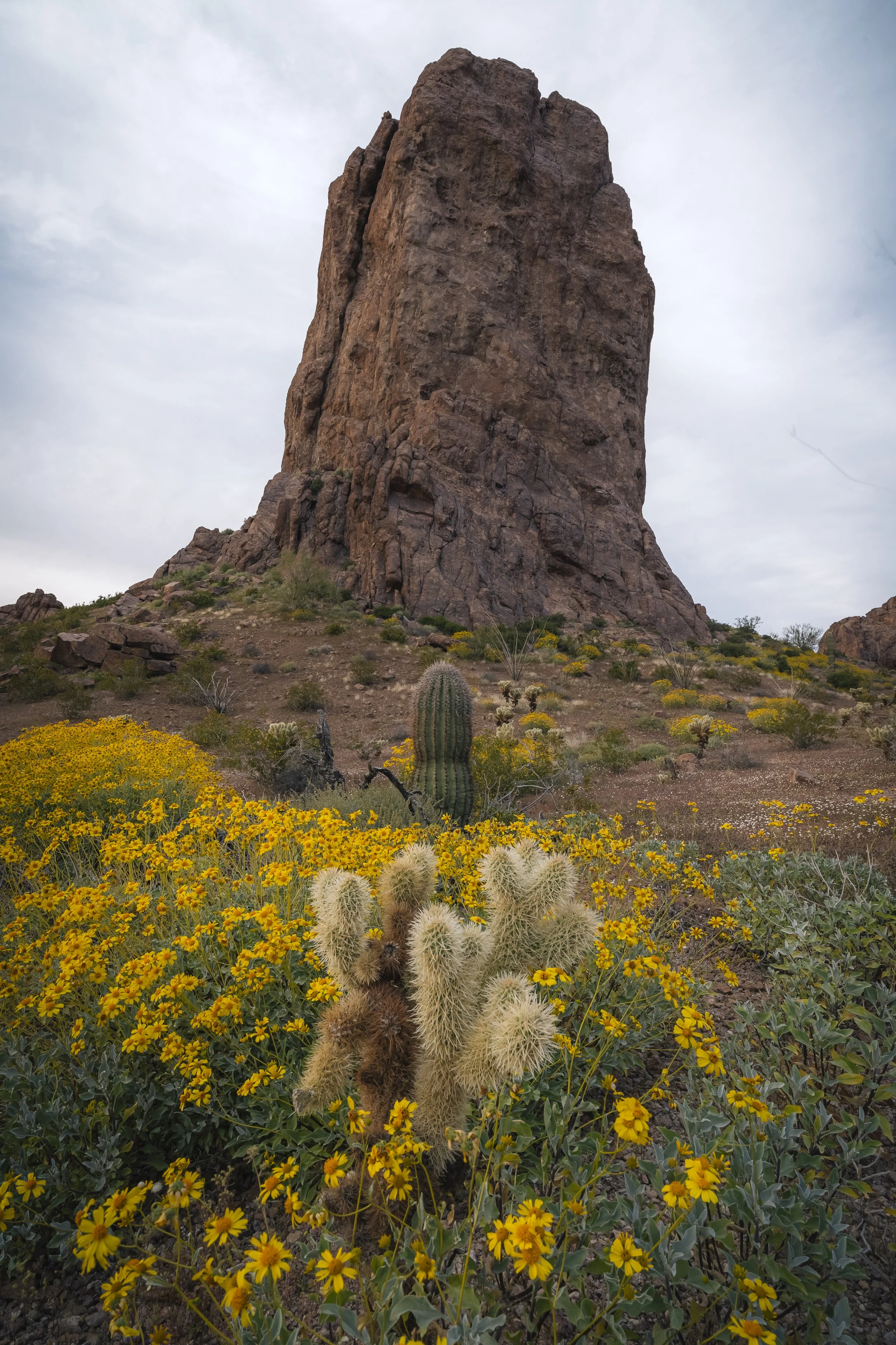 Kofa Mountains-5.jpg