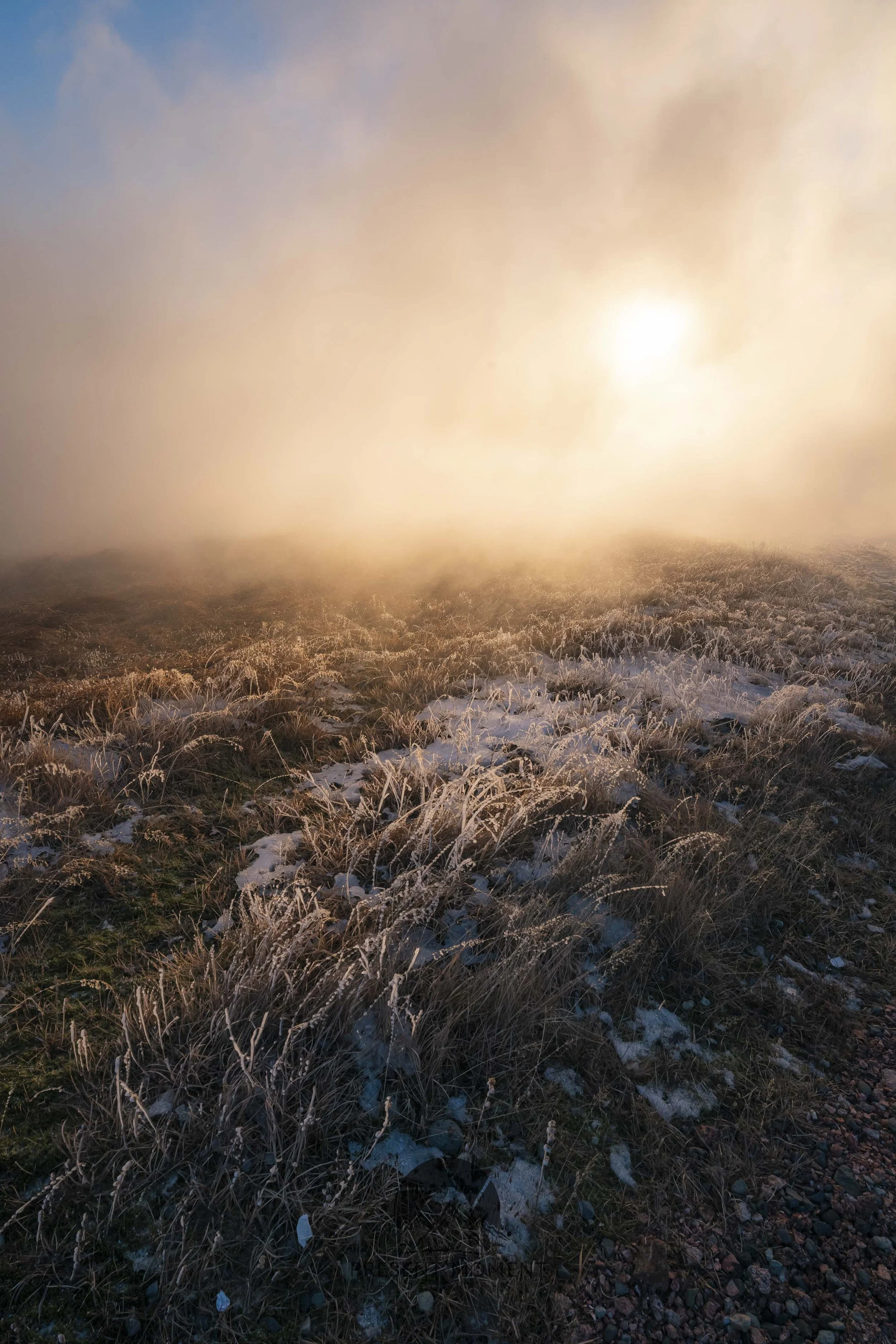Iceland Watermarked-37.jpg