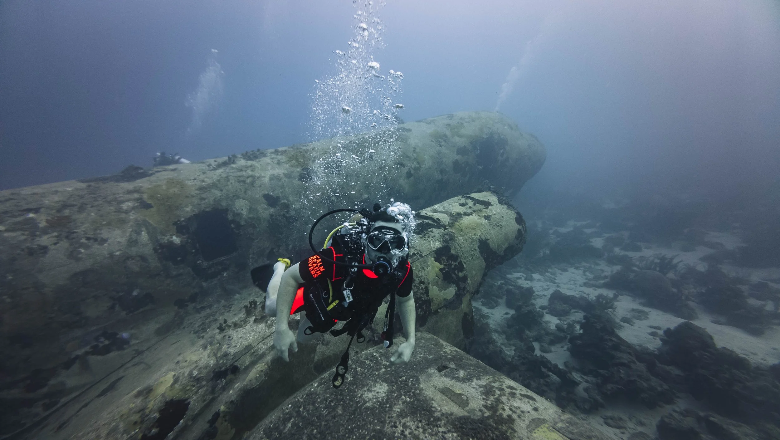 Scuba Diving in Aruba: A Complete Guide to the Best Dive Sites