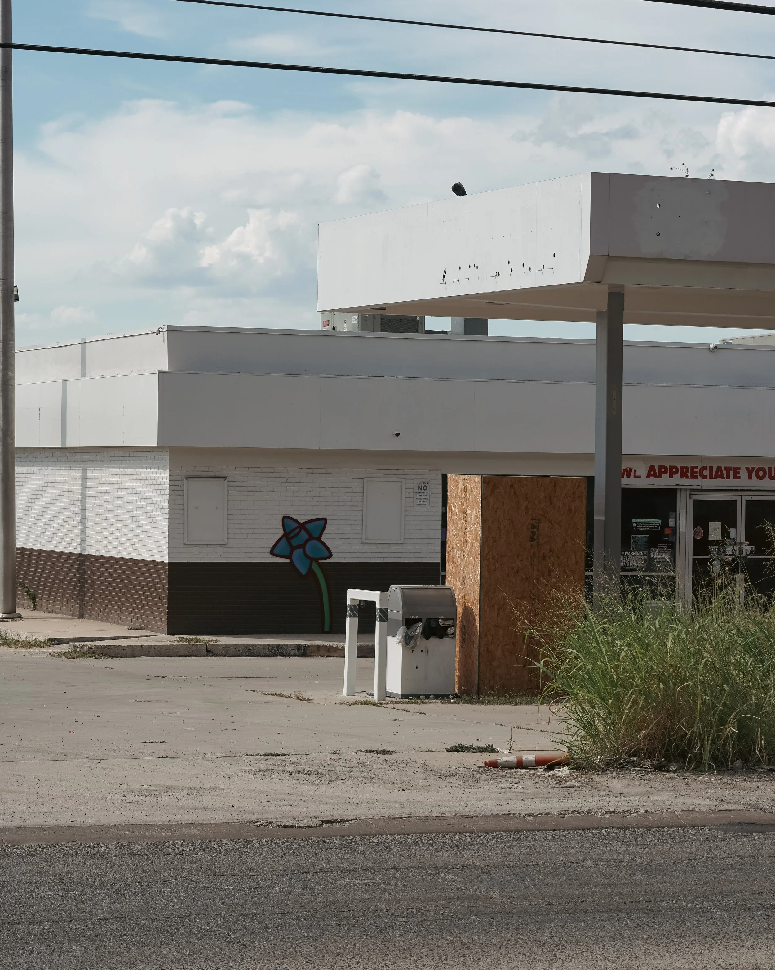 78233