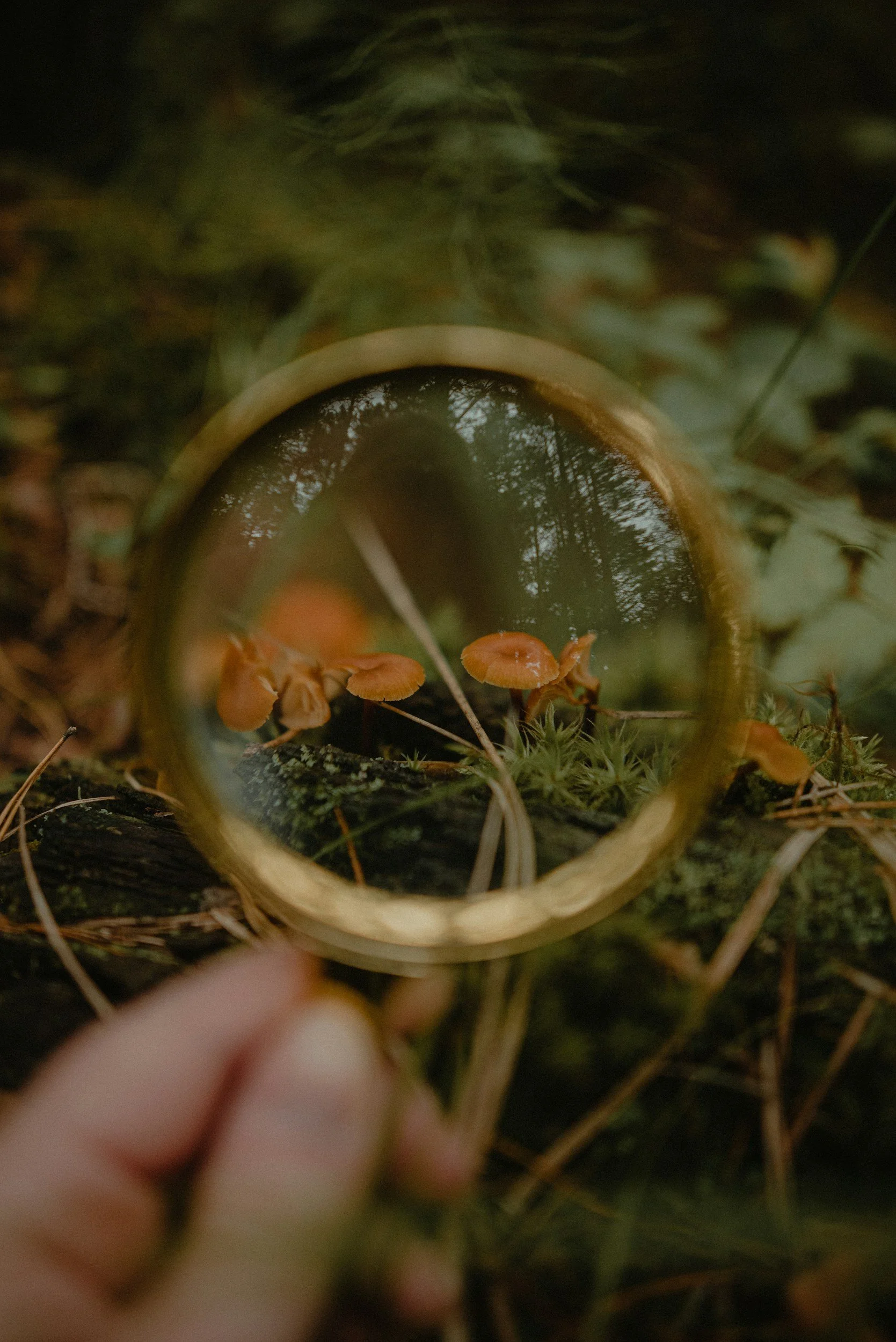 Hidden Things