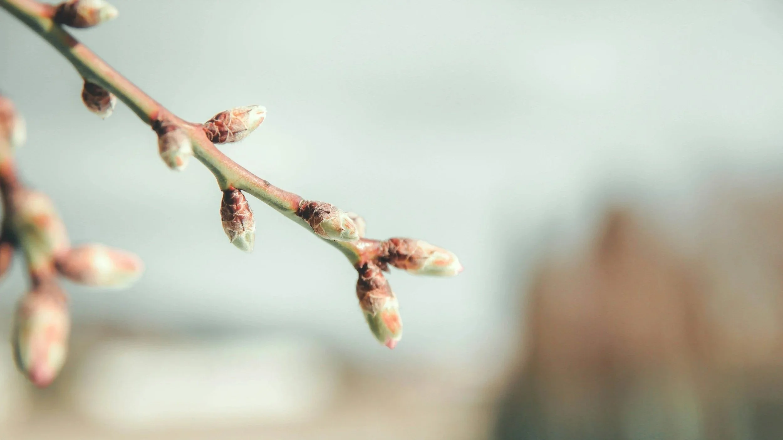 Unseen Movements of Life