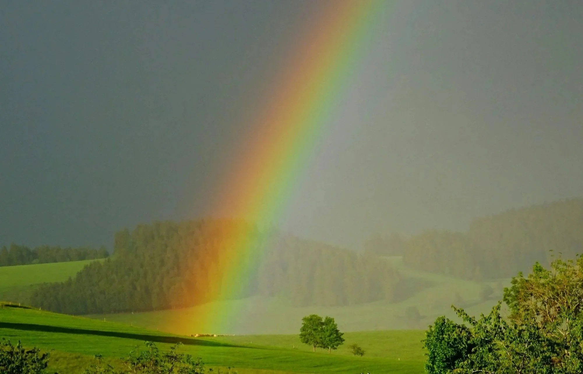 The Secret Place of His Presence