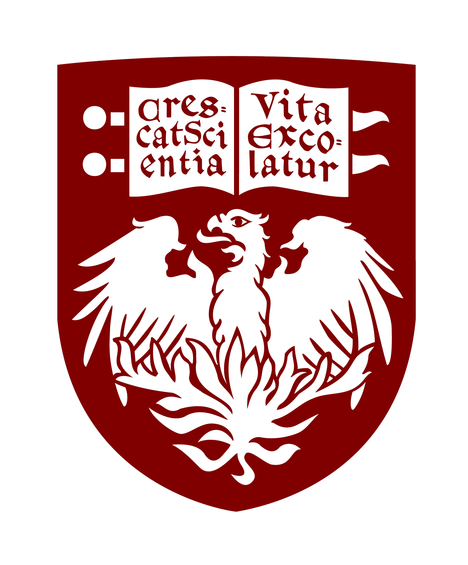 University of Chicago Anesthesiology Residency