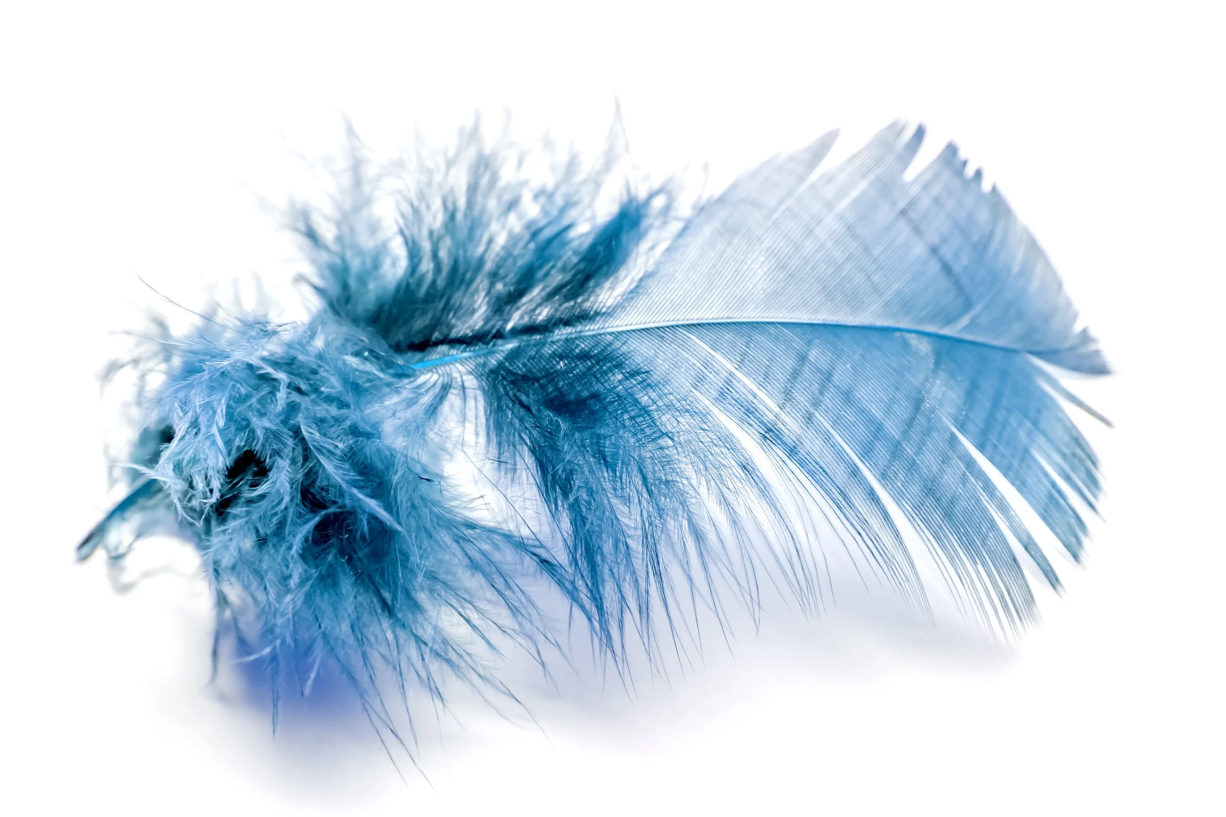 How to Launder Down-Filled Comforters, Sleeping Bags and Pillows