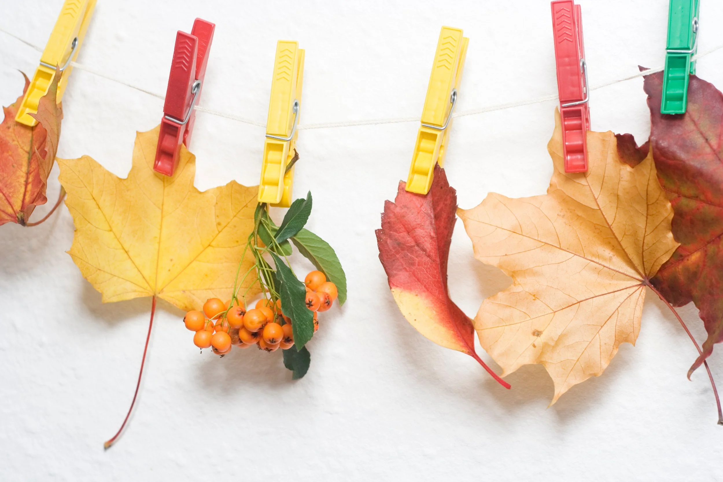 The Ultimate Fall Home Maintenance Checklist