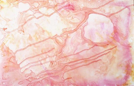 Understanding the Spiritopt.jpg