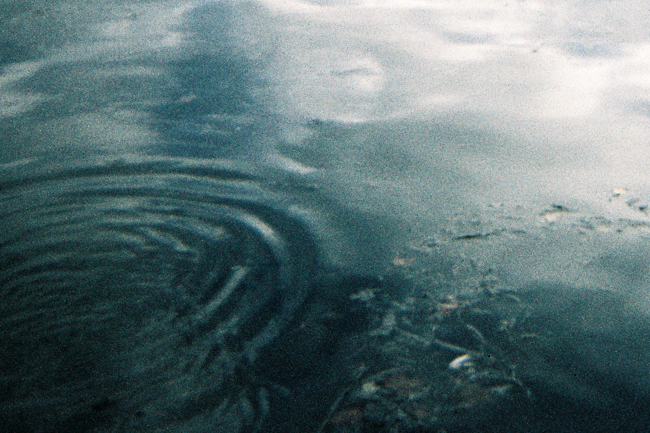 ripple.png