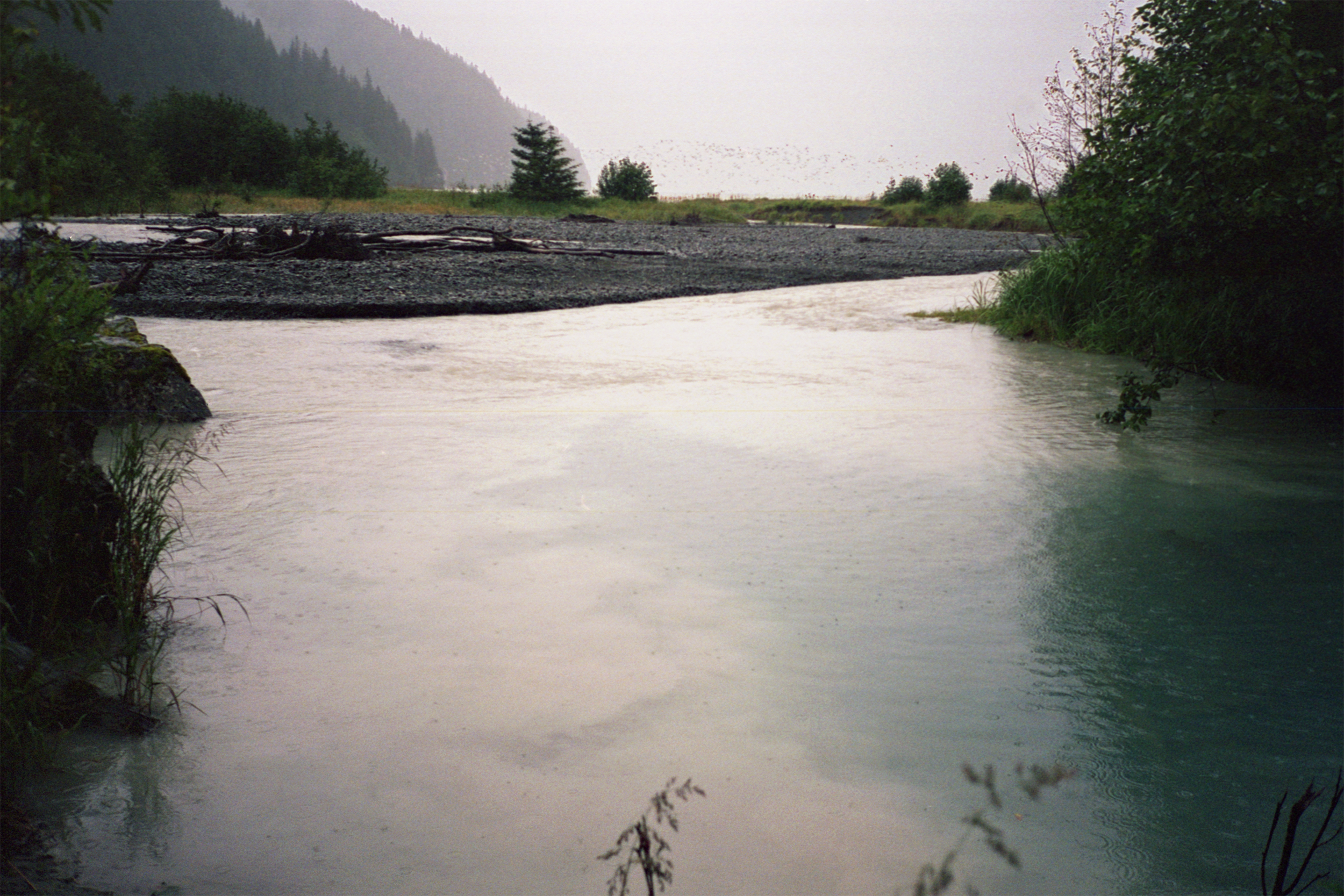 flood1.drp.png