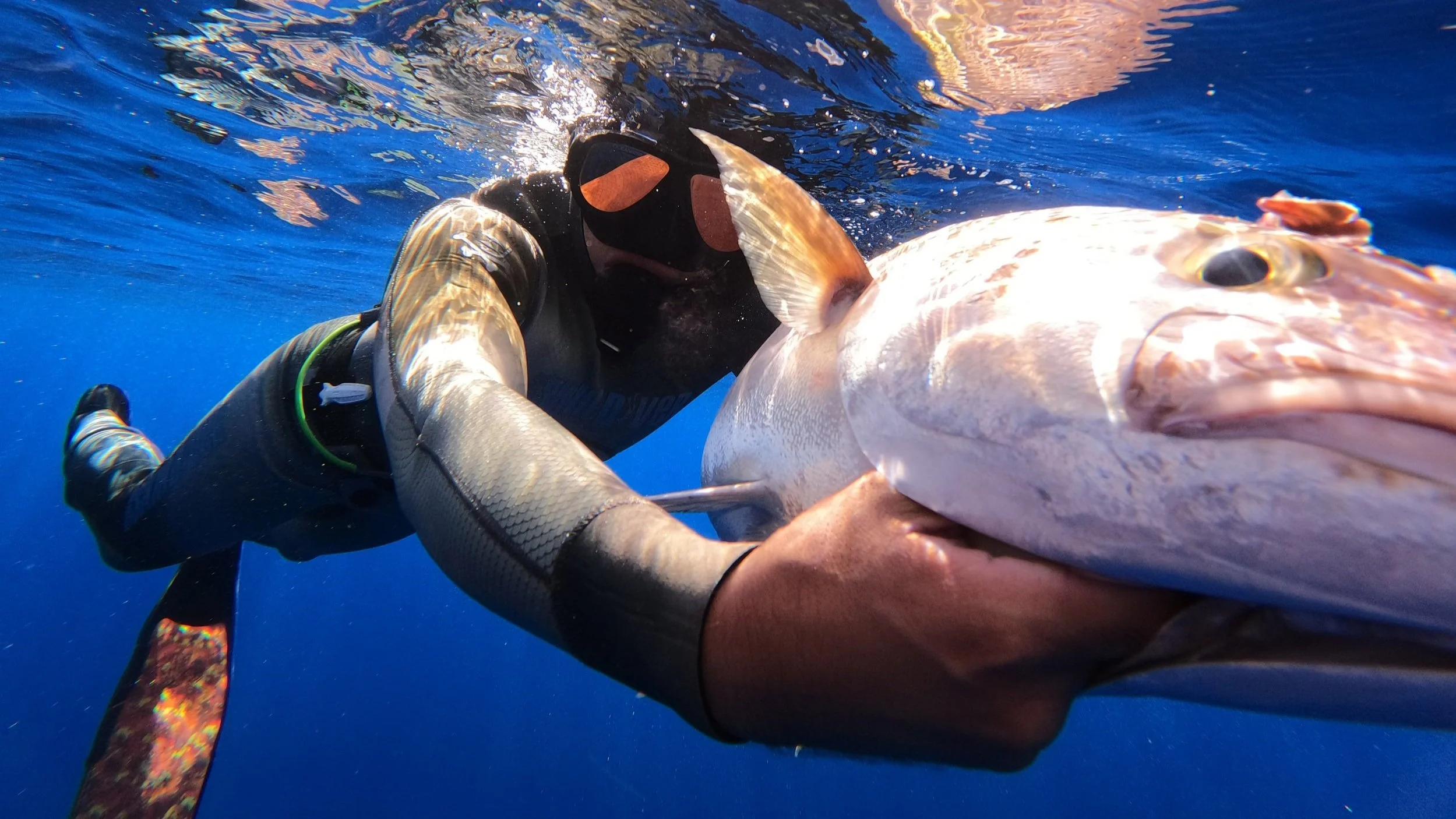 GOPR0153.jpg