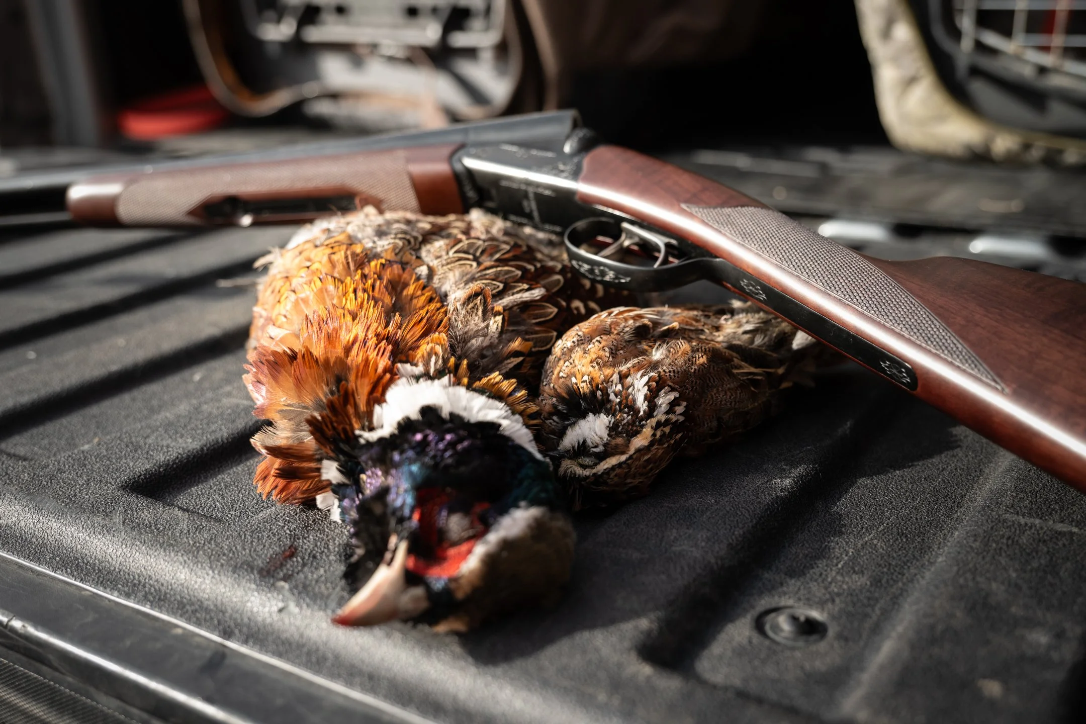 Opening Day Missouri_Darley-14.JPG