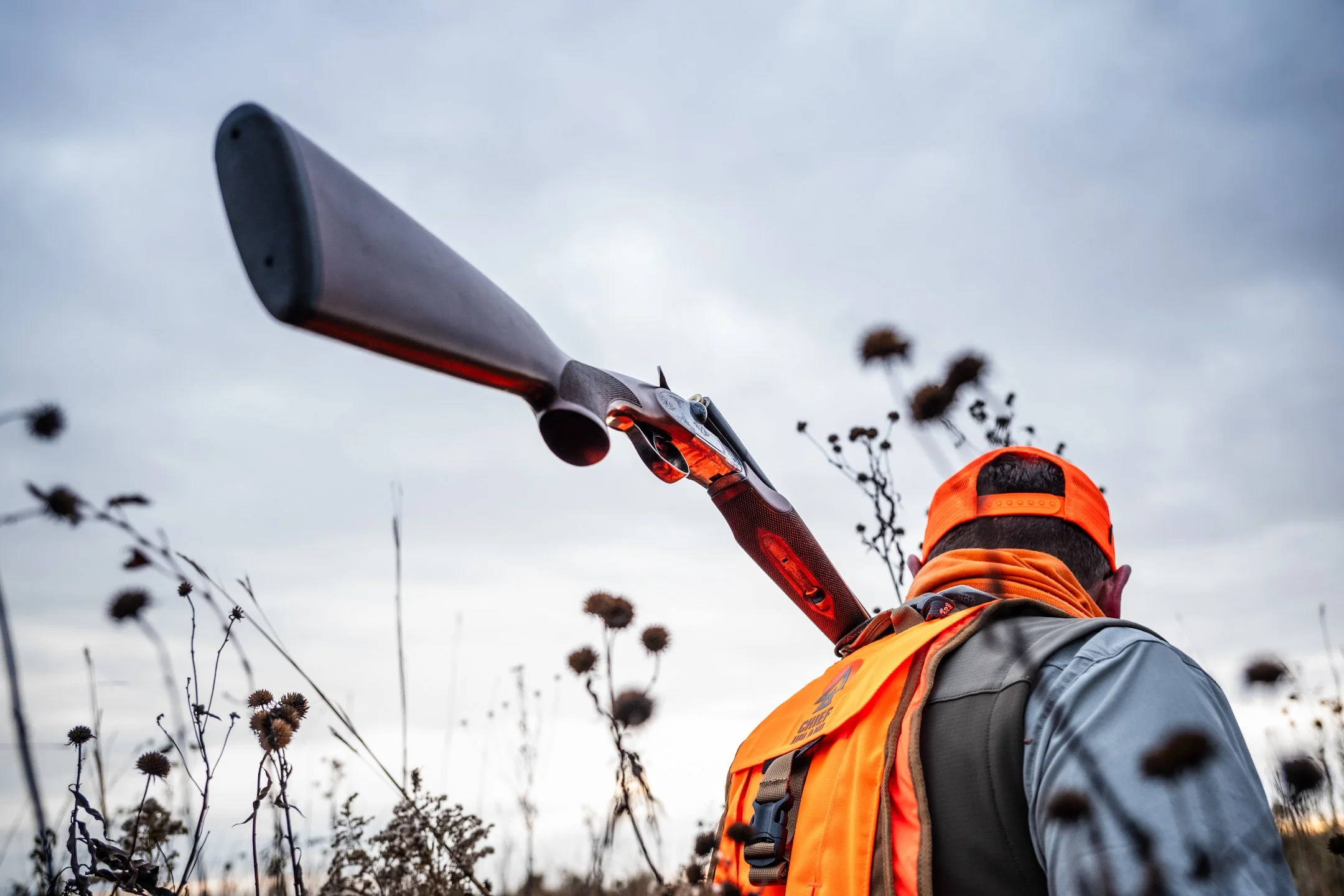 Opening Day Missouri_Darley-5.JPG