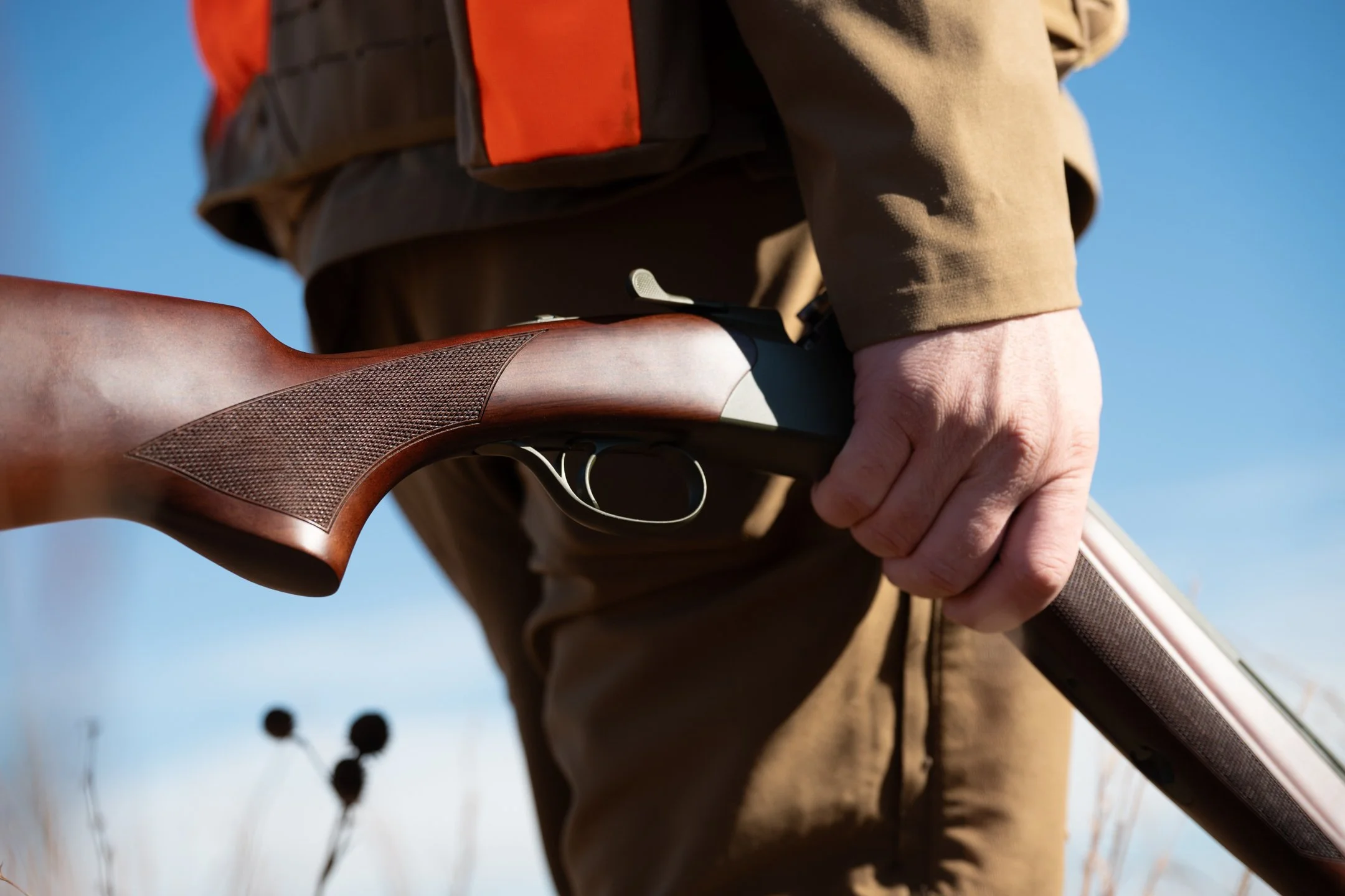 Opening Day Missouri_Darley-37.JPG