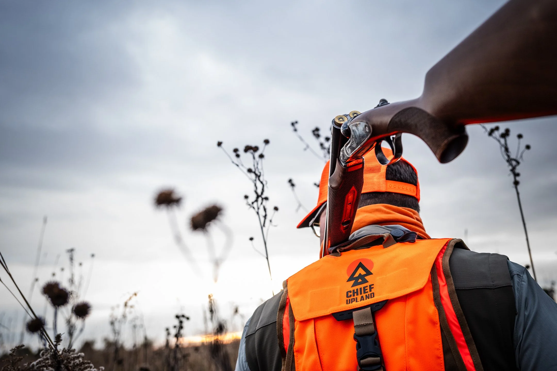 Opening Day Missouri_Darley-6.JPG