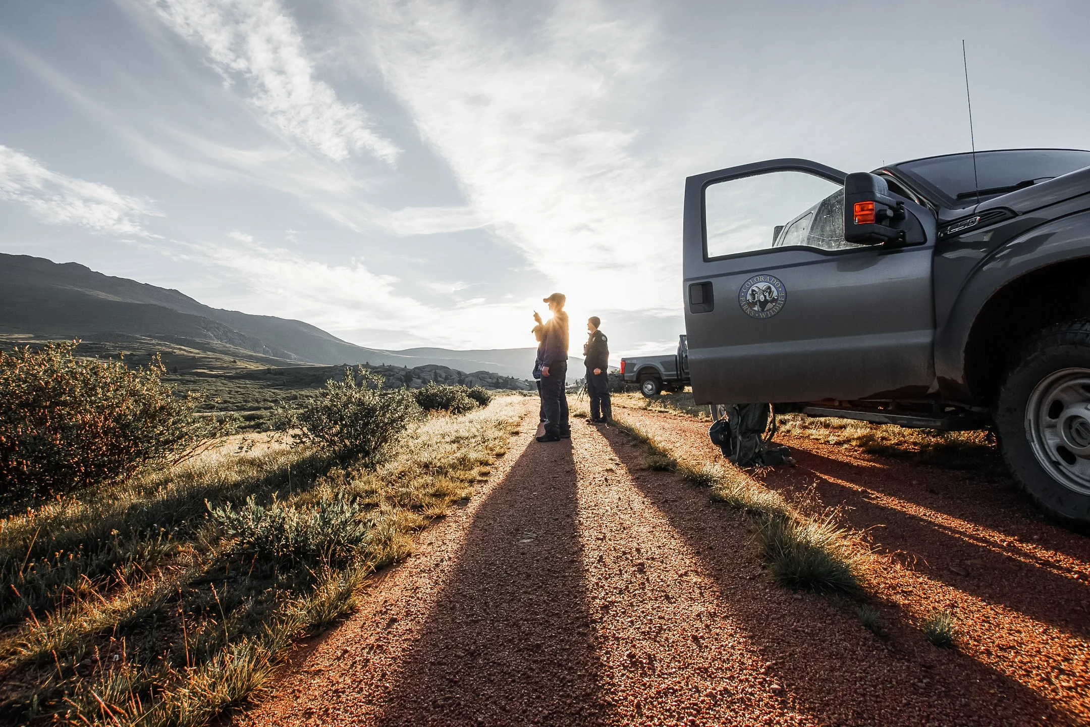 South Slope Sheep Count 11 Mile-1.jpg