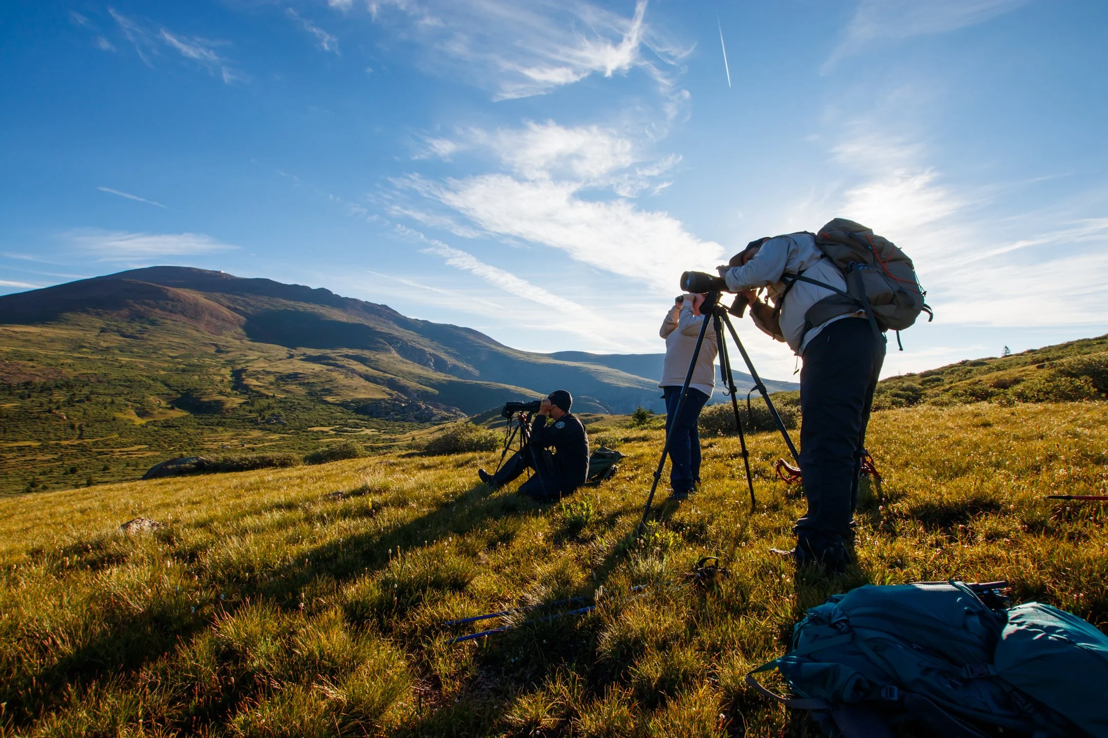 South Slope Sheep Count-3.jpg