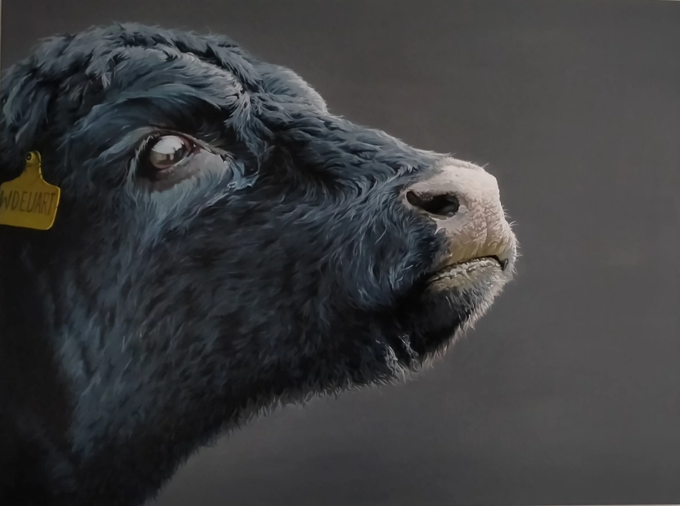 art for sale," "original art," "contemporary art," "modern art," "abstract art," "landscape art," "oil paintings," "watercolor paintings