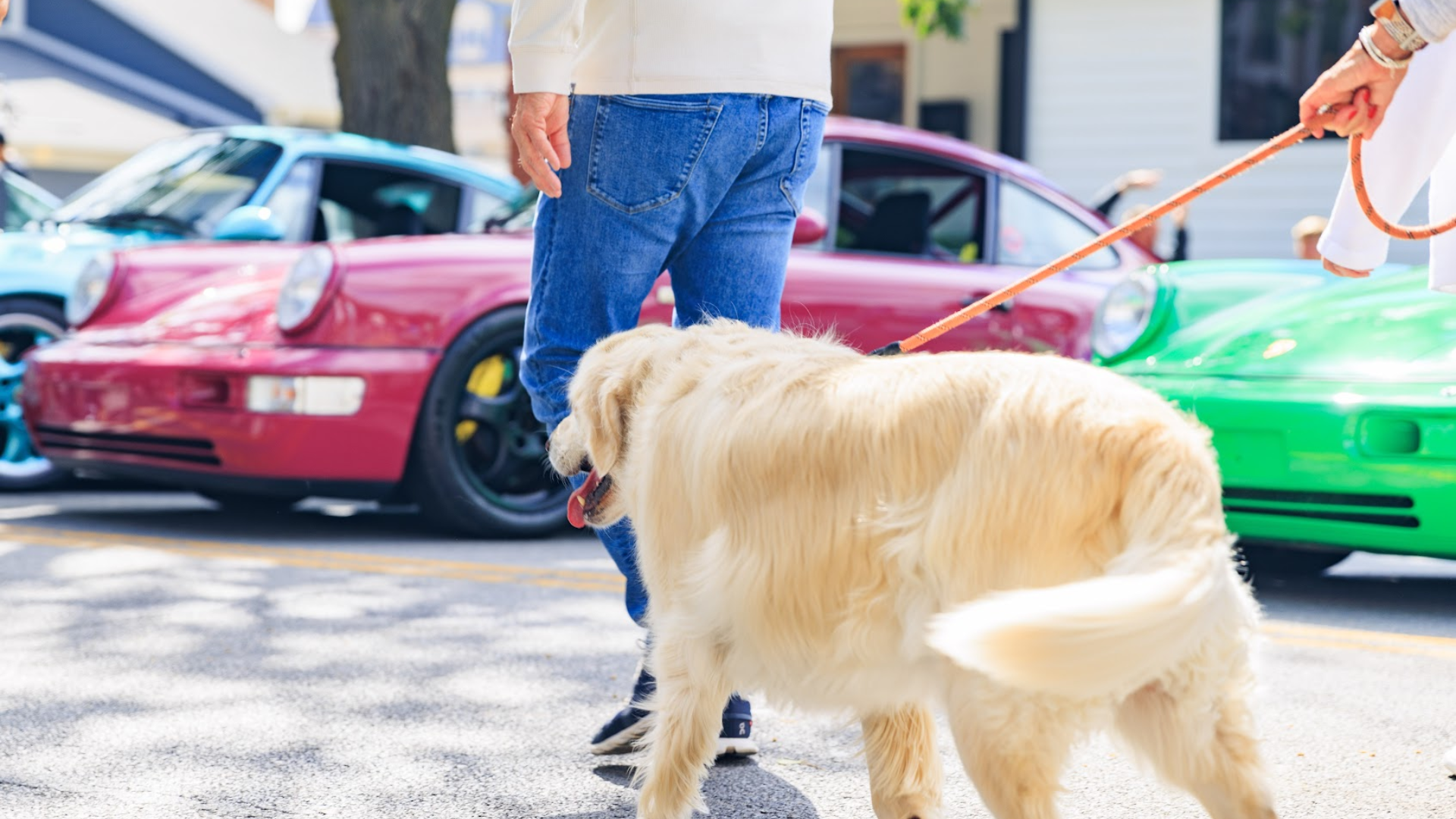 The Art of Showing Cars Well