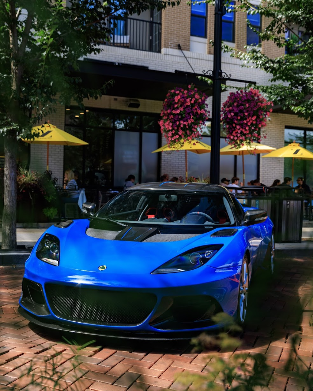 Lotus (4).png