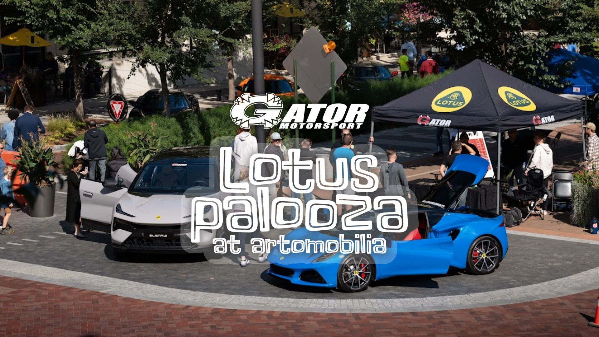 LOTUS-PALOOZA