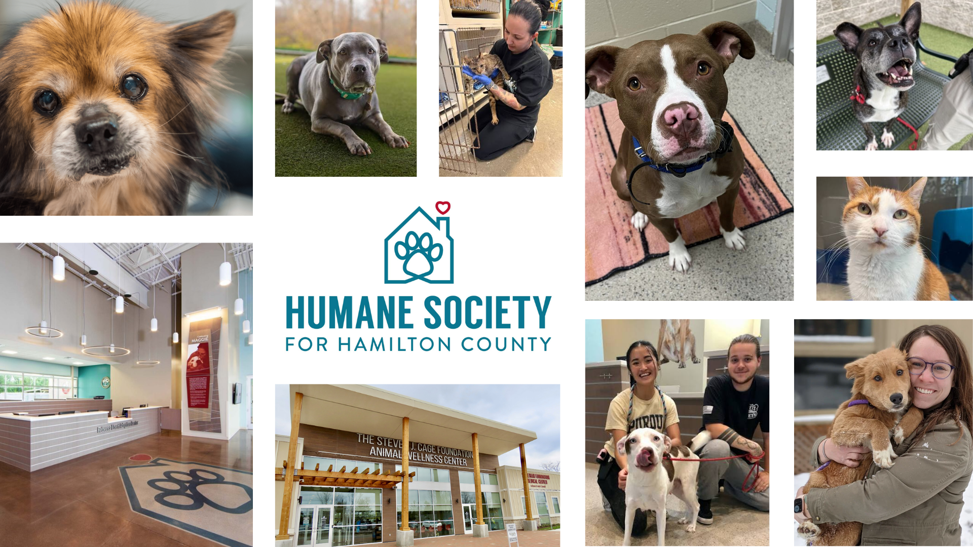 Driven to Give: The Humane Society for Hamilton County