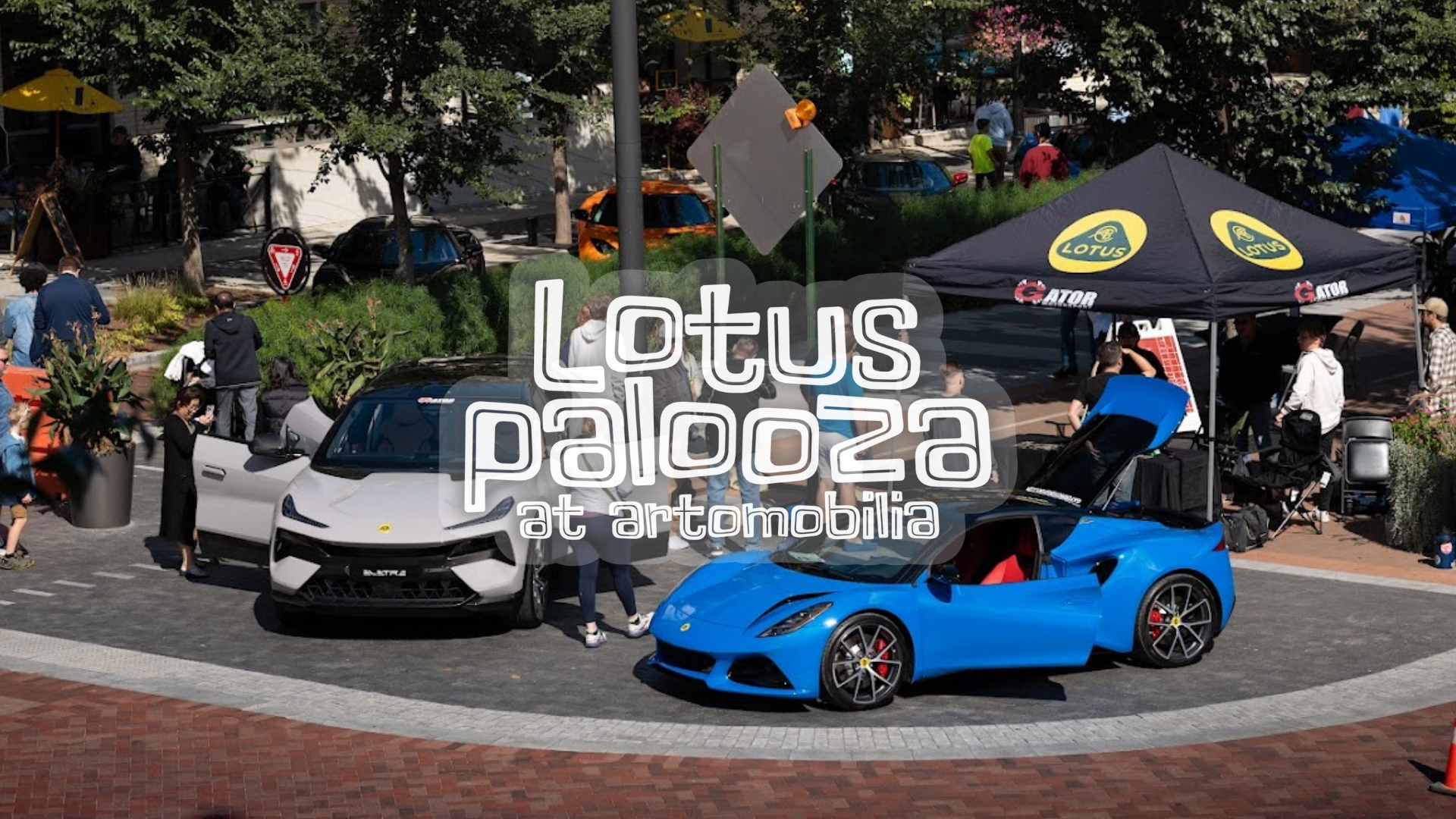 Lotus-Palooza - ARTOMOBILIA