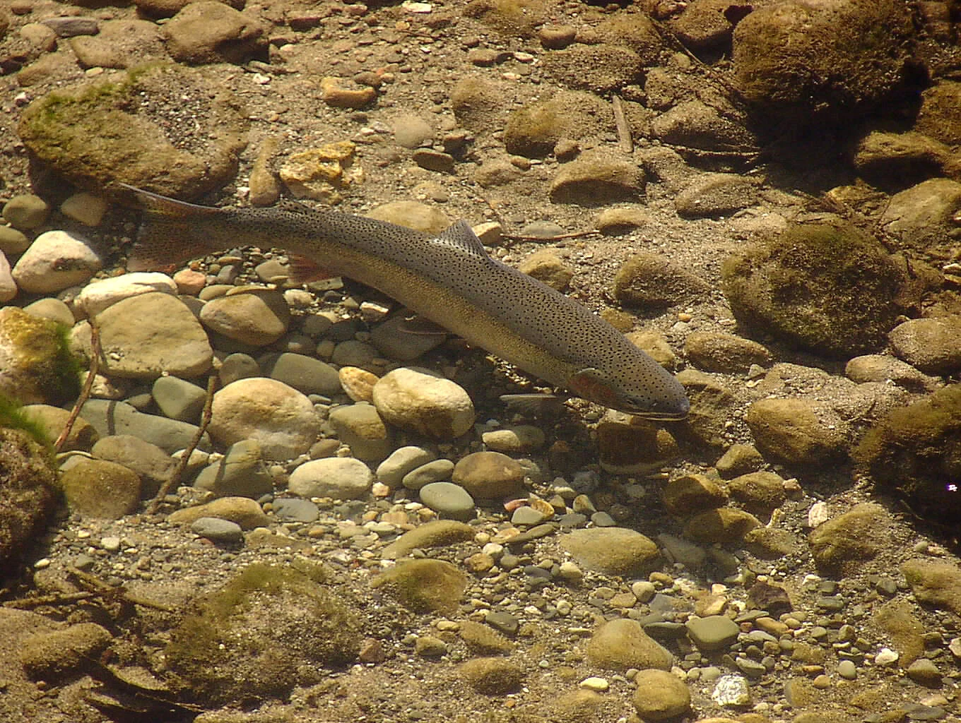 Credit: John Carlos Garza