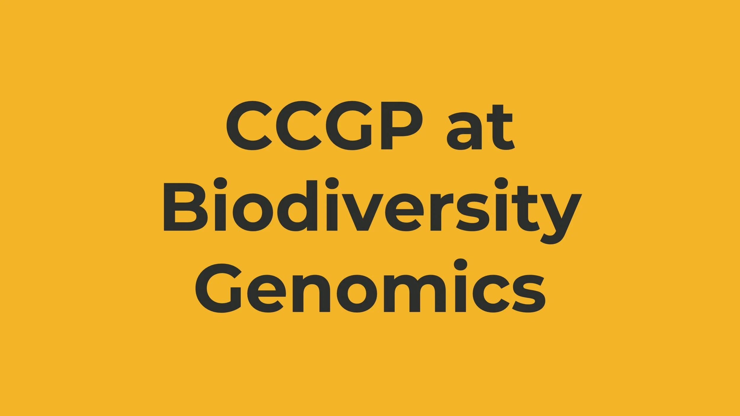CCGP at Biodiversity Genomics 2021