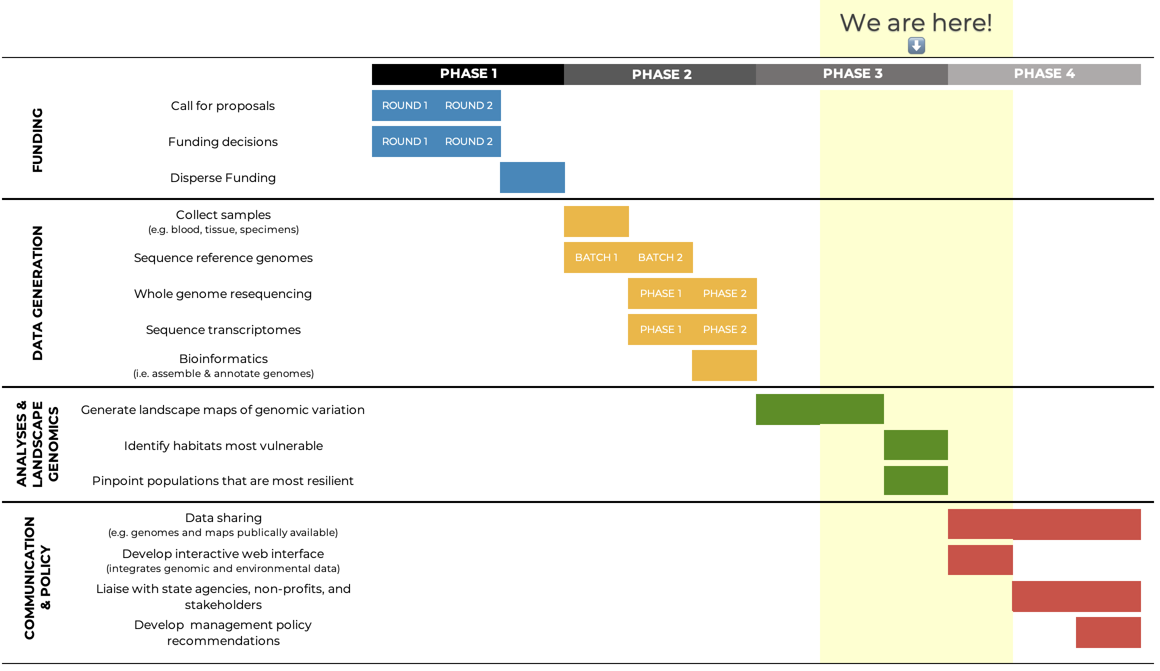 Table of CCGP progress. Y-axis labeled with four categories (Top to Bottom: Funding, Data Generation, Analyses & Landscape Genomics, Communication & Policy). X-axis labeled Phase 1, Phase 2, Phase 3, Phase 4. Current progress highlighted at Phase 3/4