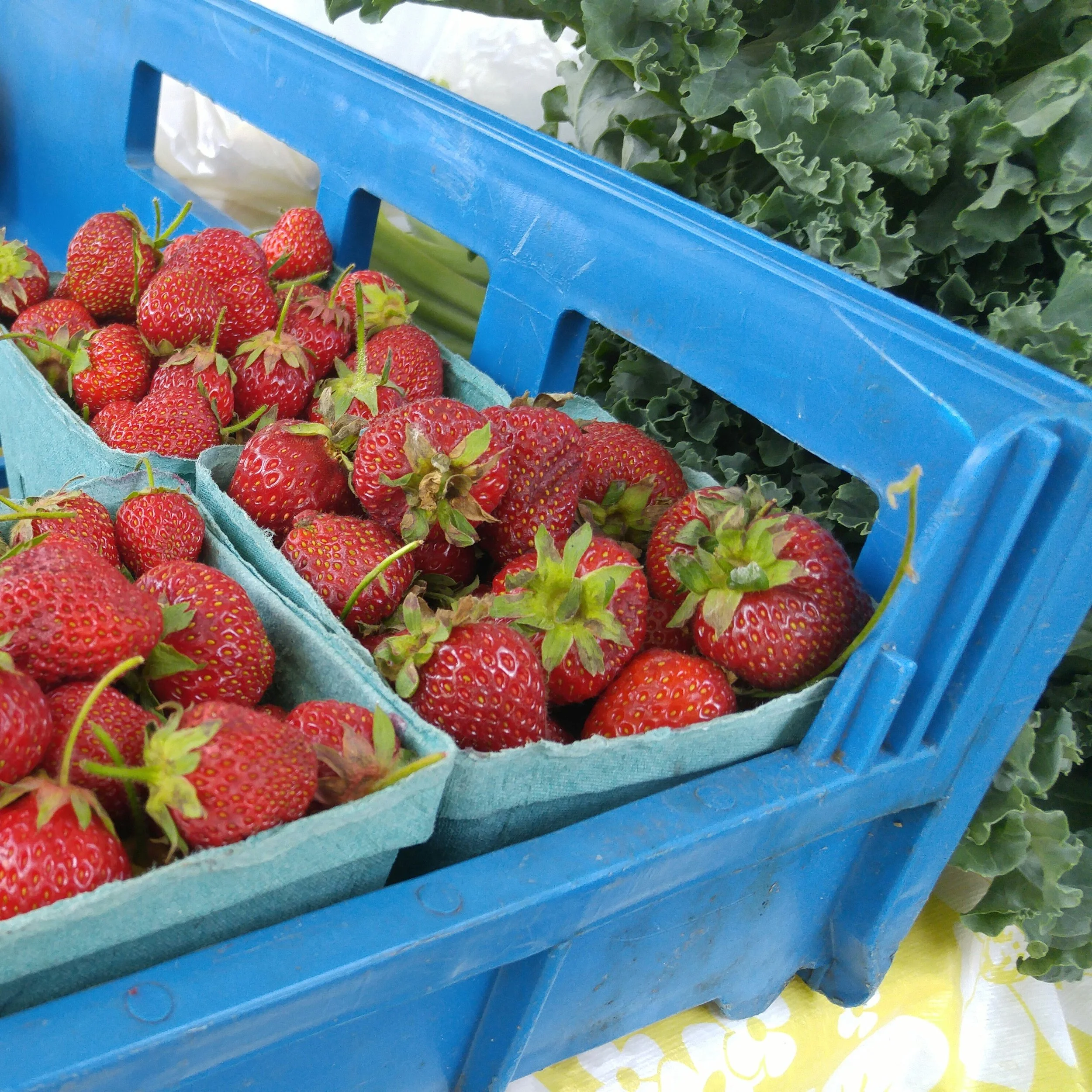 The Cabbagetown Farmers Market