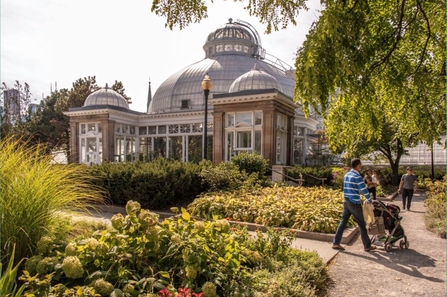 Allan Gardens Summer Programming