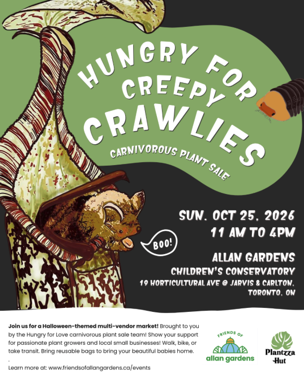Hungry for Creepy Crawlies