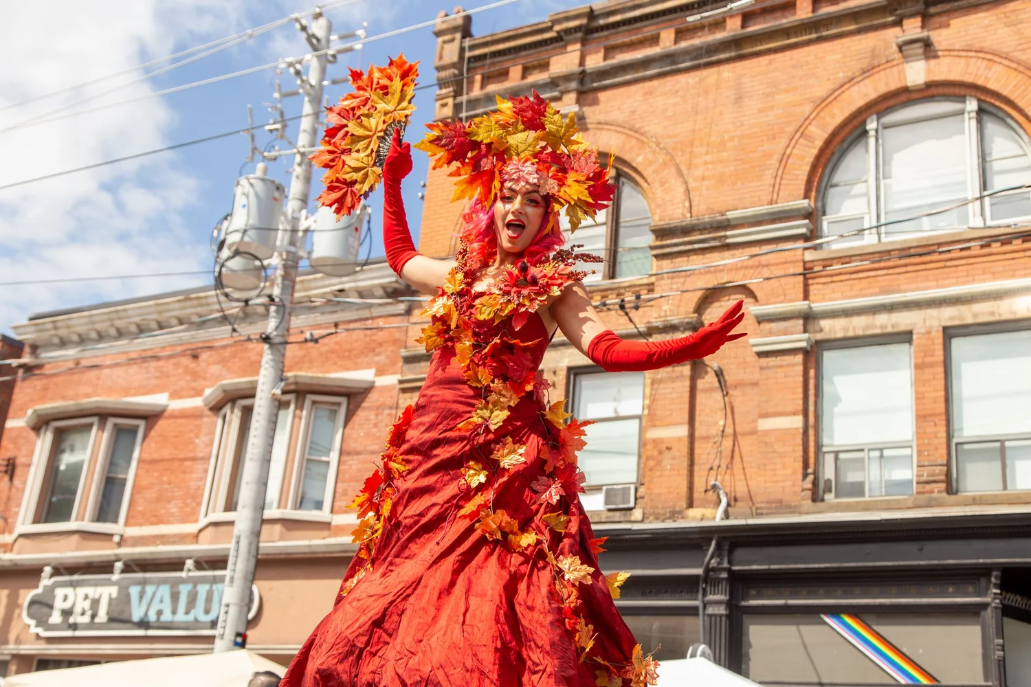 Cabbage Town Festival - September - Toronto