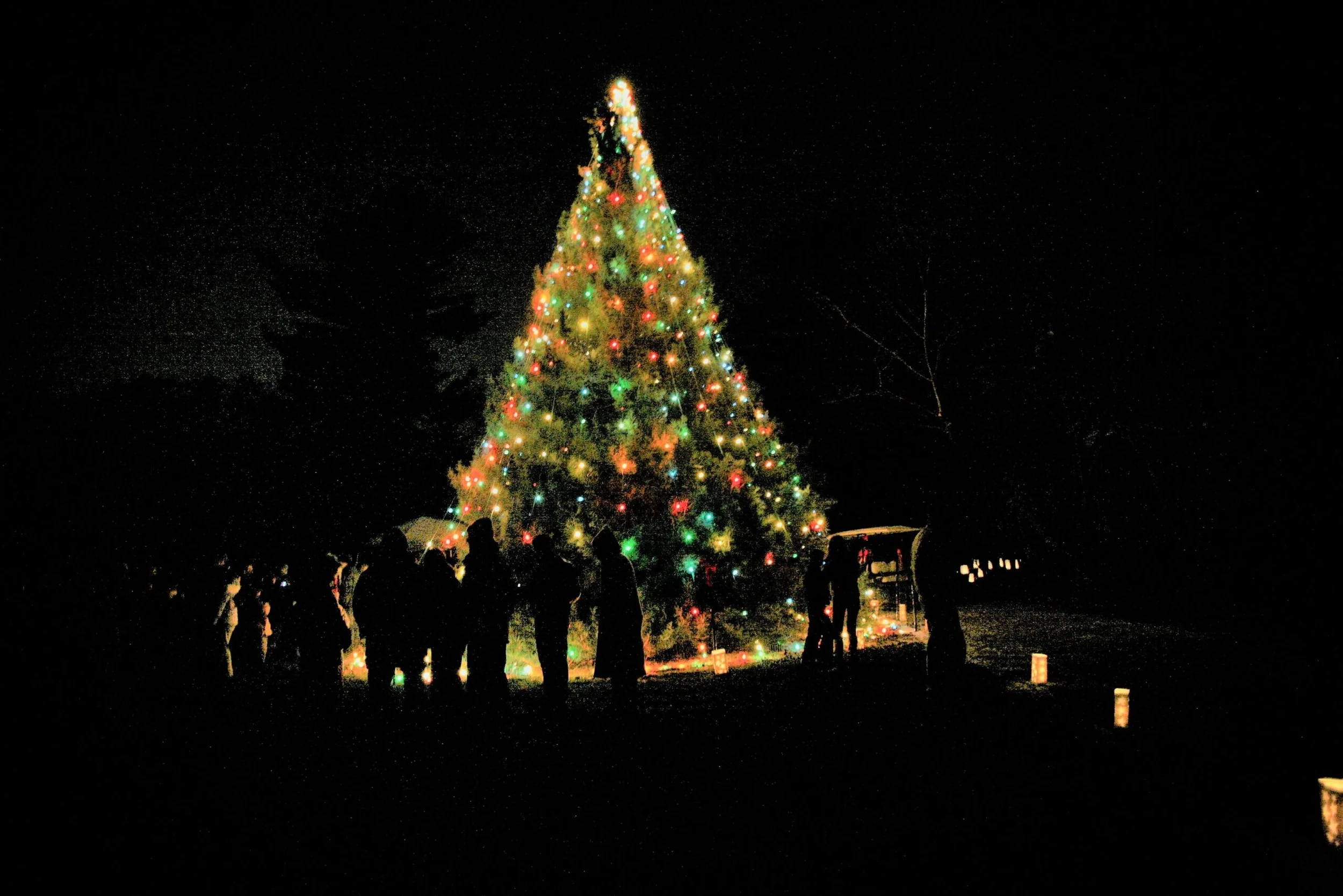 Riverdale Holiday Tree Lighting