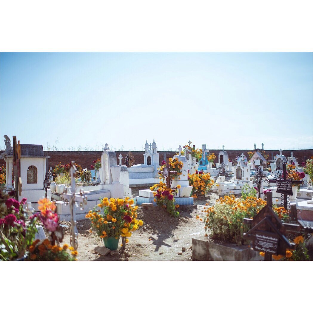 Muerta y vida

#documentaryphotography  #travelphotography #Mexico #simpleisbeautiful #diariodeviaje