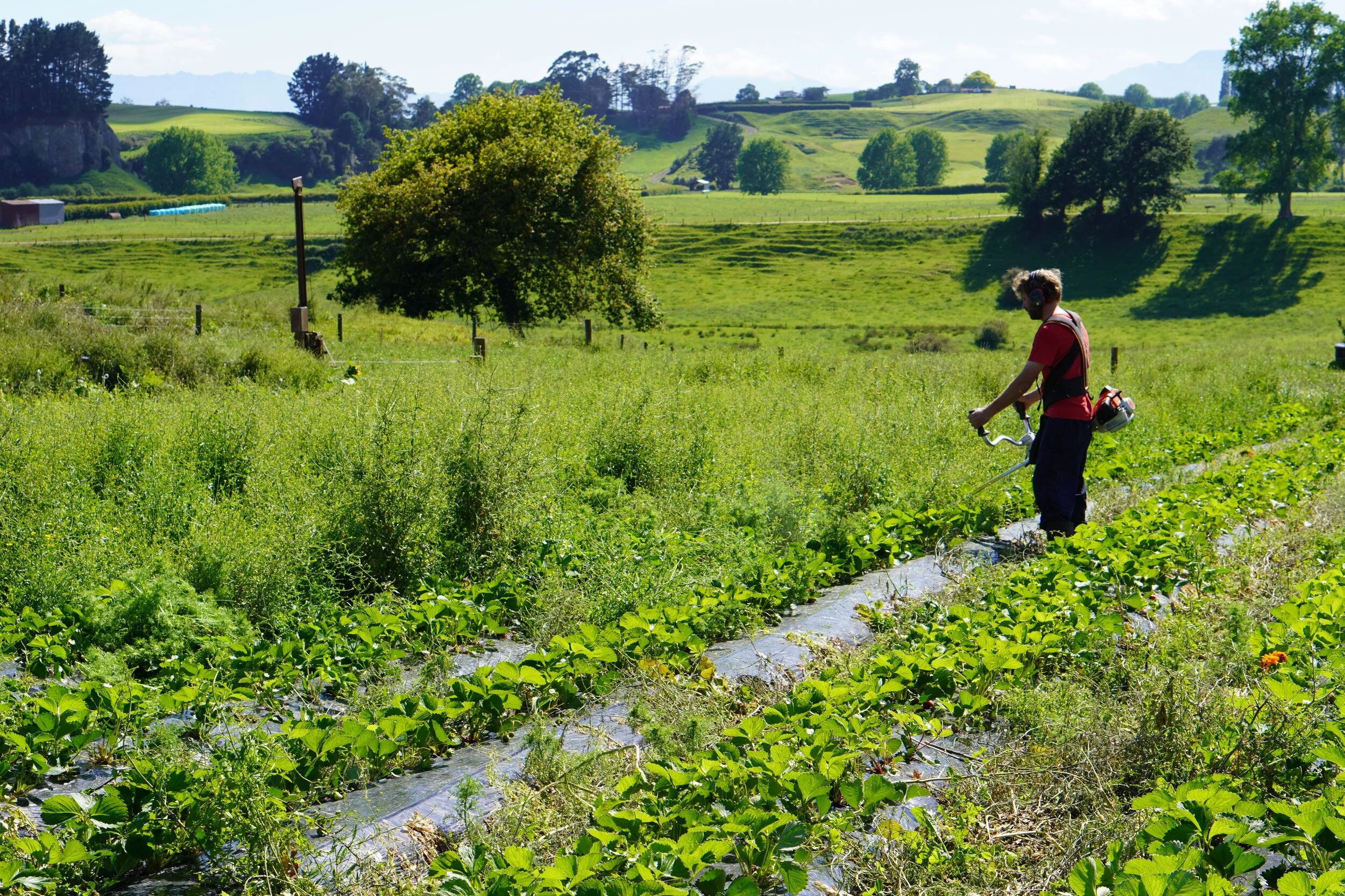 2019-11-19 21.56.55.jpg