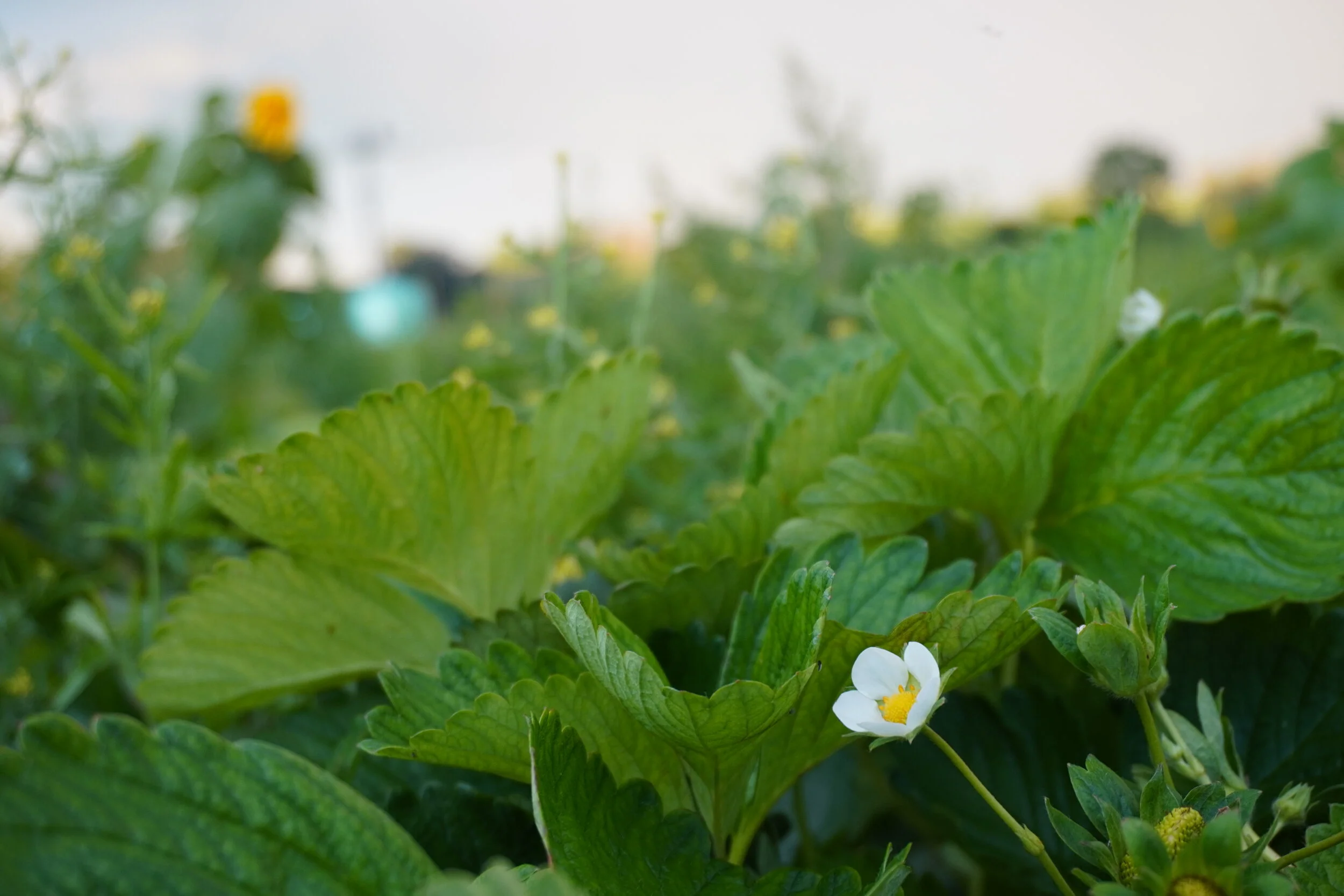 Walking the talk with sustainability 