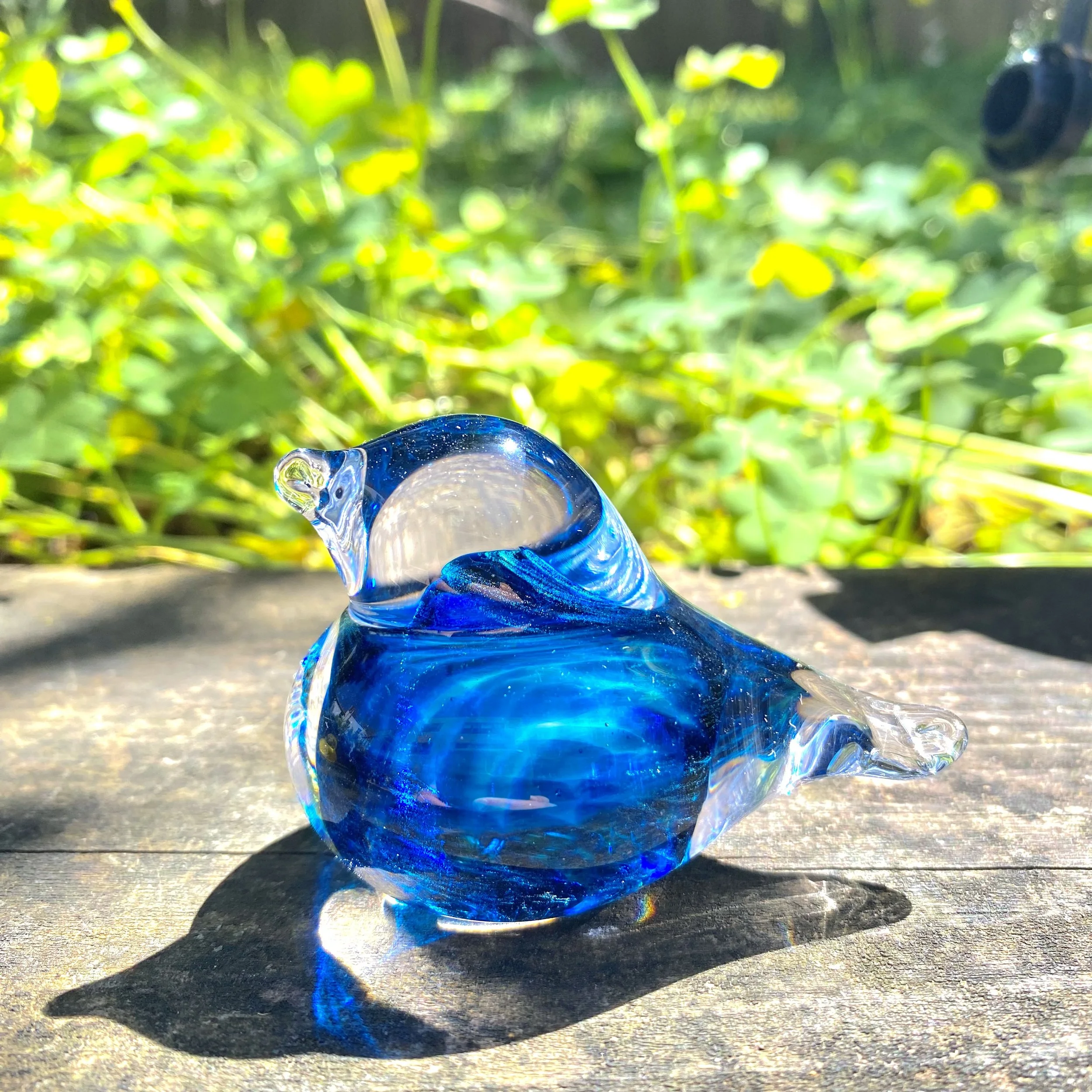 Aqua Bird