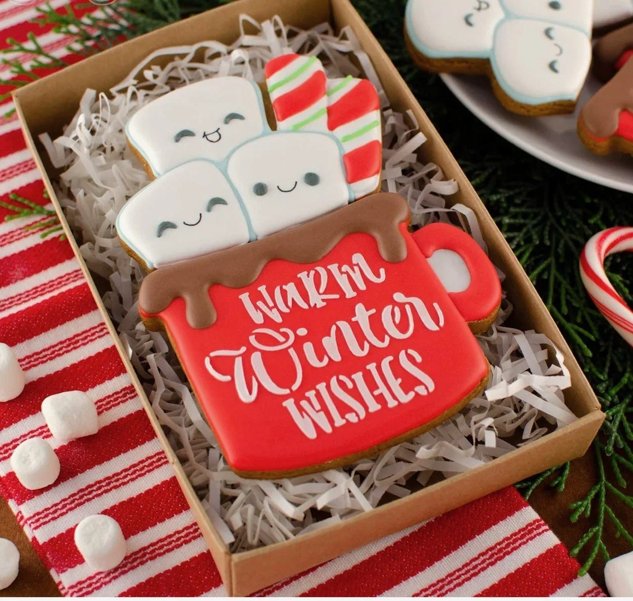 Hot Cocoa Cookie Set (2pc)
