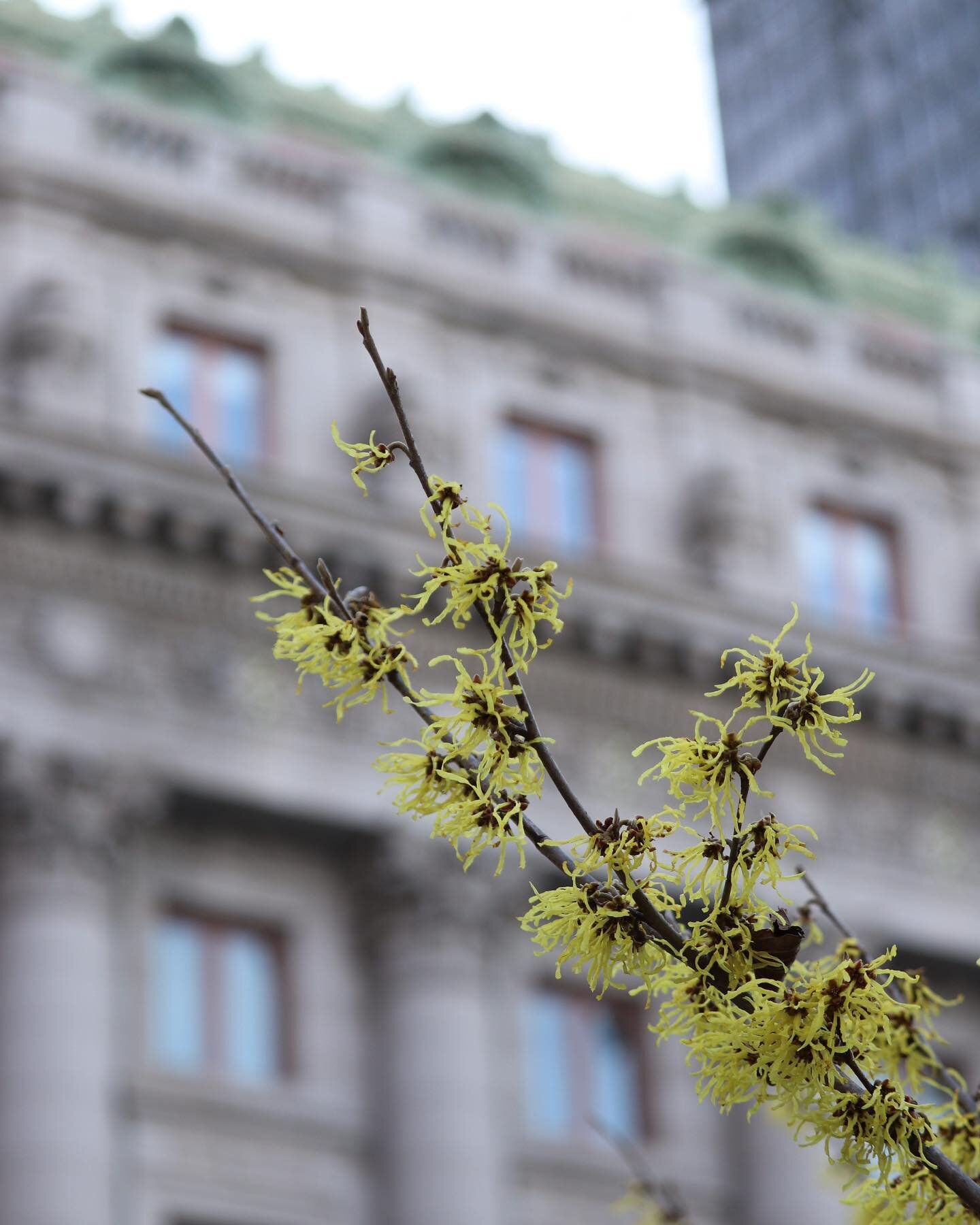 I really struggle with change&hellip;

but watching green pop up everywhere&hellip; the slow progression of everything that is cold and grey being overcome with lush, colorful leaves&hellip; it&rsquo;s the kind of change I actually look forward to. T