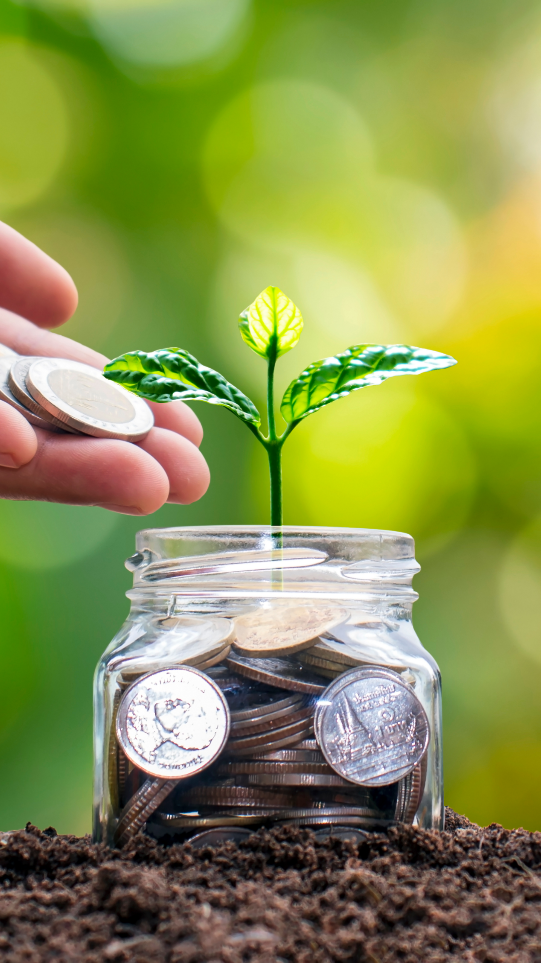 A small plant with green leaves growing out of a glass jar filled with coins, with a hand placing coins into the jar, symbolizing saving or investing money for growth.