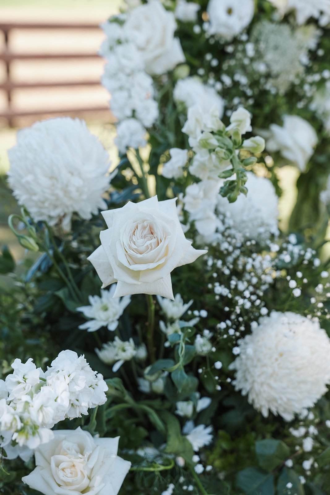 Chloe + Matt-388.jpg
